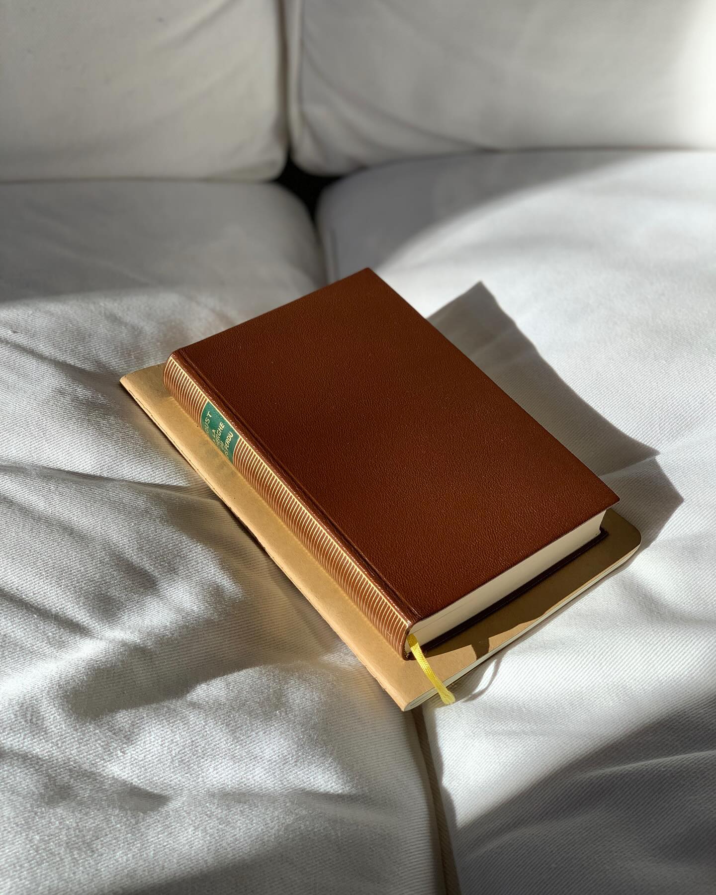 Photo by Marcel Proust (1871-1922) ❤️‍🩹 on March 02, 2024.