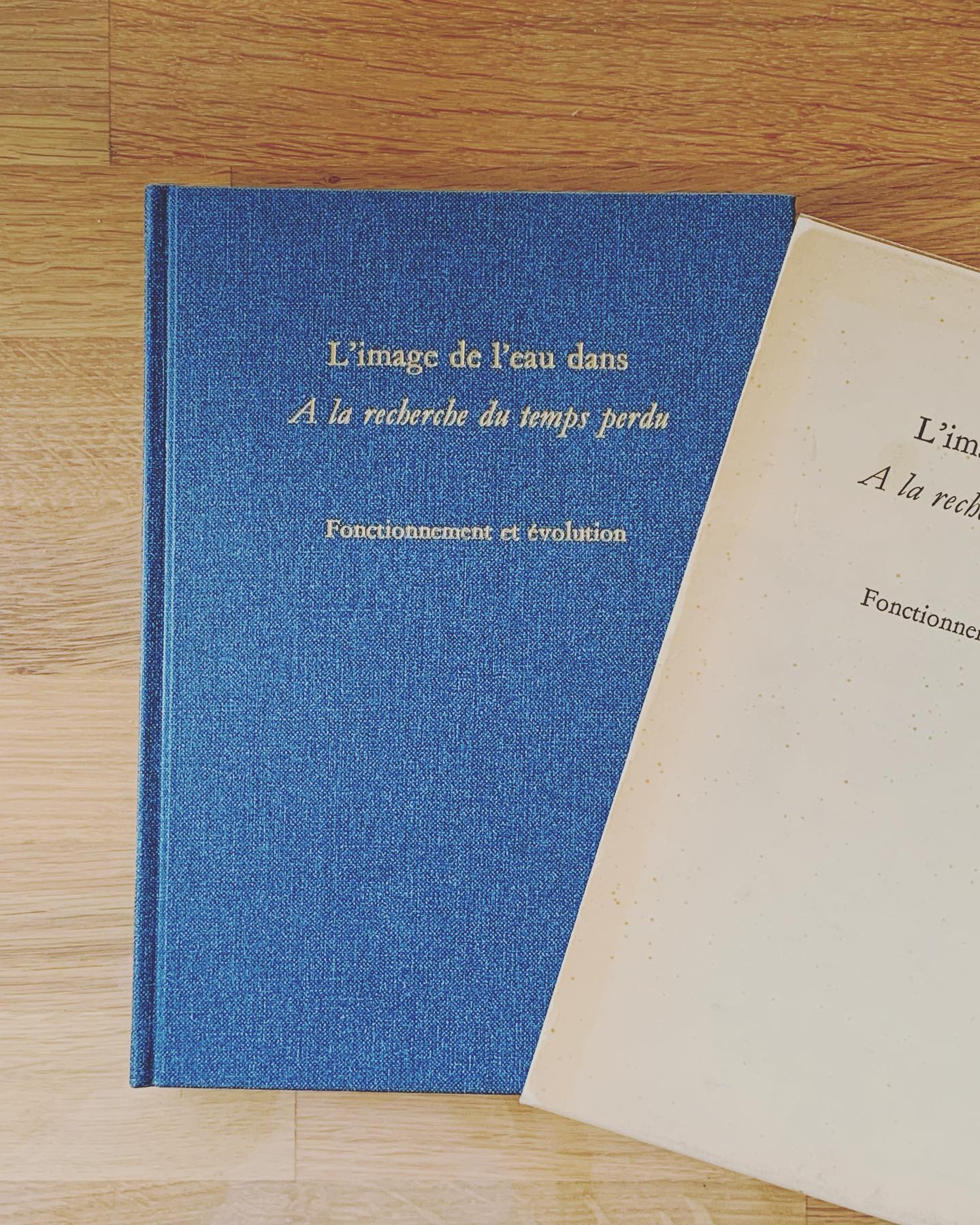 Photo by Marcel Proust (1871-1922) ❤️🩹 on April 01, 2023.